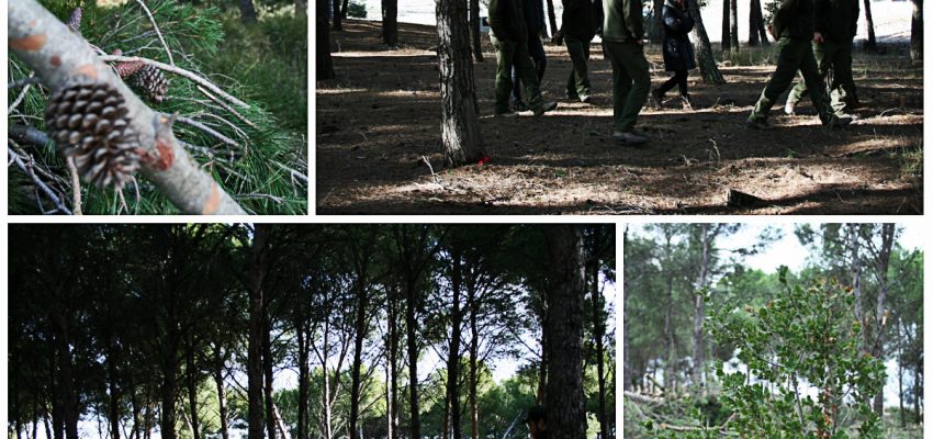 Un día con el Guarderío Forestal en la Ribera de Navarra.