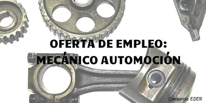 Oferta de empleo. Mecánico Automoción.