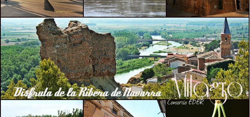 Disfruta de la Ribera de Navarra; Milagro