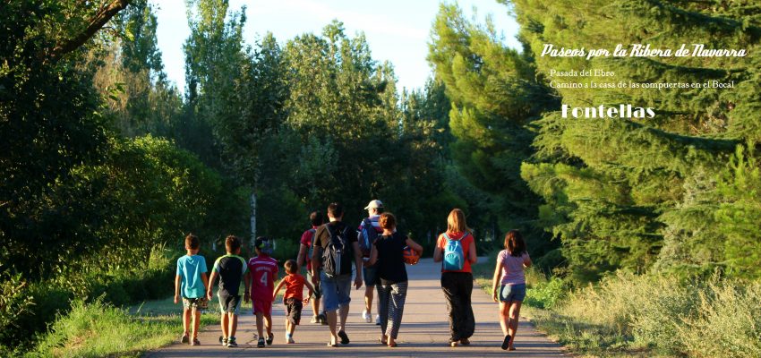 Septiembre la época ideal para disfrutar de los Paseos por la Ribera de Navarra.