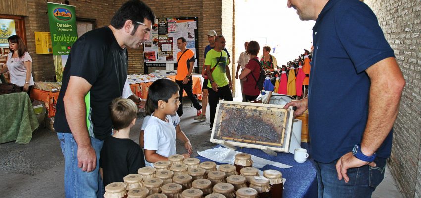 Ayudas para empresas artesanas, para formación asociaciones comerciantes y Q de Calidad Turística