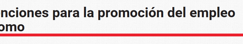 Ayudas para la Promoción del Empleo Autónomo. Gobierno de Navarra. Convocatoria 2016.