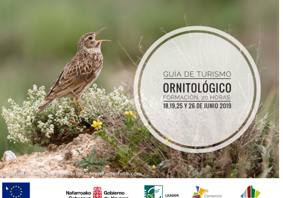 Formación Guía de turismo ornitológico, 20 horas