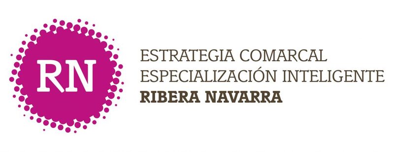 Entrevista «Hoy por Hoy Tudela» sobre la actualización de la Estrategia de Especialización Inteligente RN