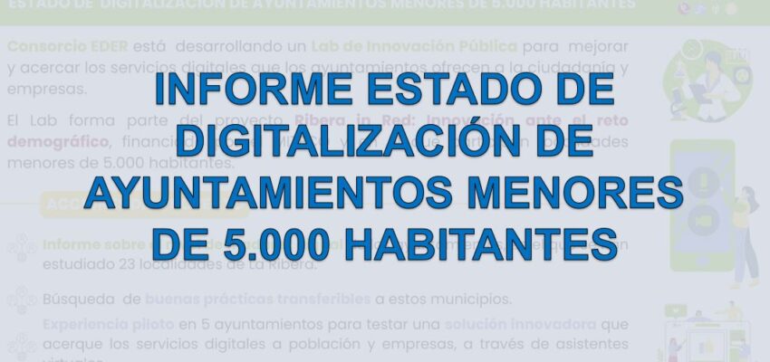 El gráfico del mes: Informe estado de digitalización de ayuntamientos menores de 5.000 habitantes