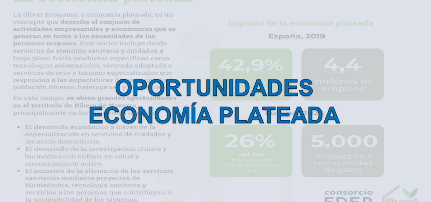 El gráfico del mes: Oportunidades Economía Plateada